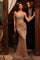 Prom Dresses Prom Fitted Long Corset Sequin Formal Dress Gold