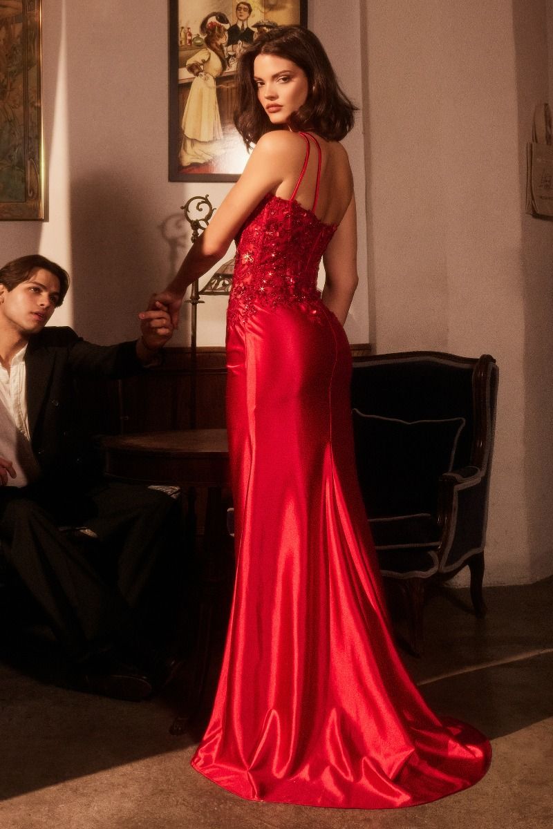LaDivine CDS535 Beaded Long Prom Formal Lace Applique Dress