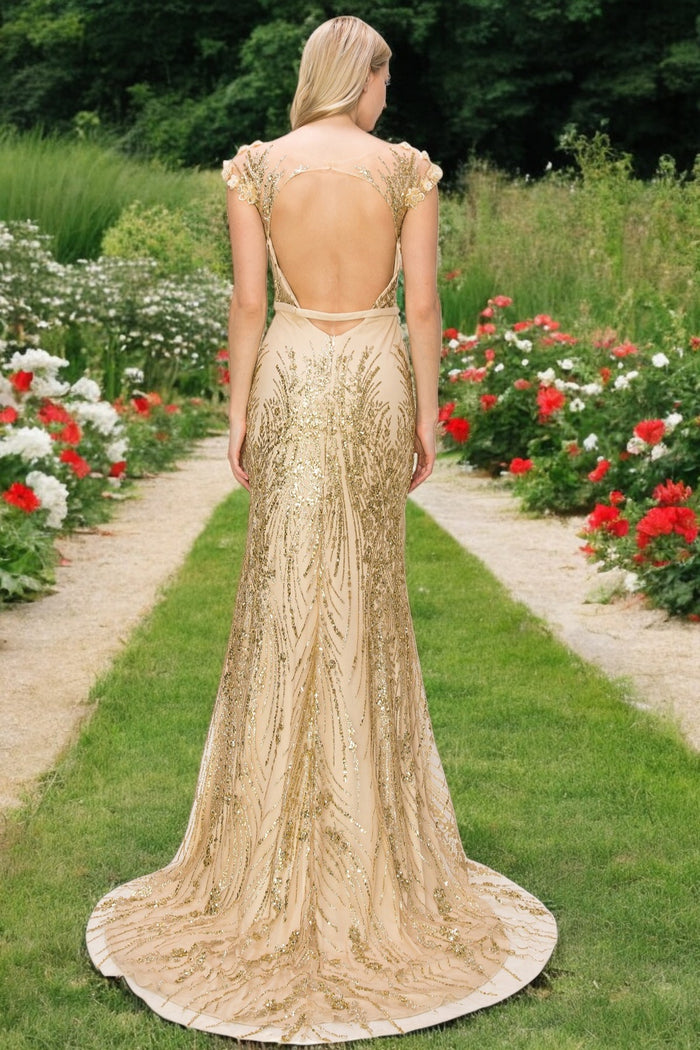 Prom Dresses Prom Long Glitter Applique Formal Dress Champagne