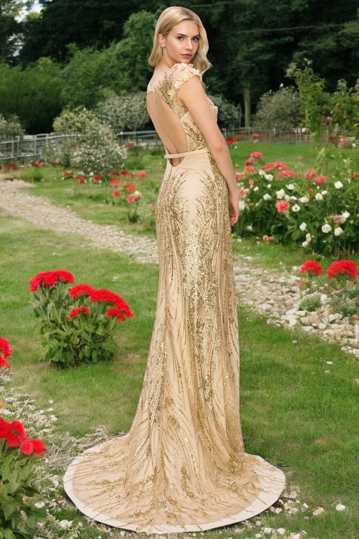 Prom Dresses Prom Long Glitter Applique Formal Dress Champagne