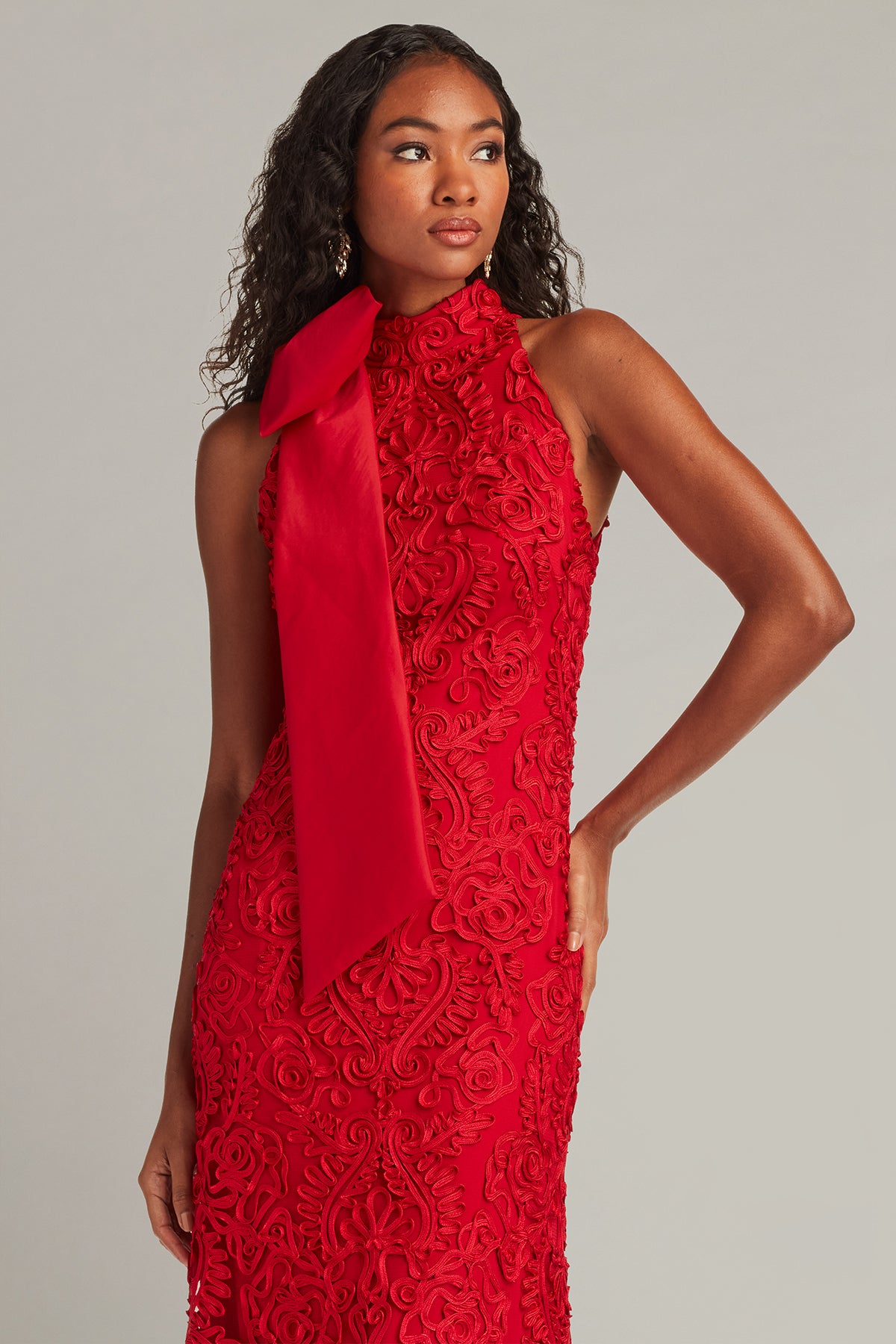 Formal Dresses Long Formal Prom Lace Dress Tadashi Shoji CIM23521L Cherry