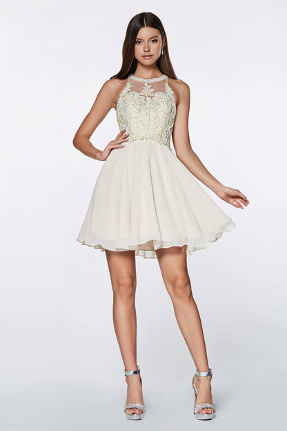 Prom Short Cocktail Homecoming Dress - The Dress Outlet Cinderella Divine