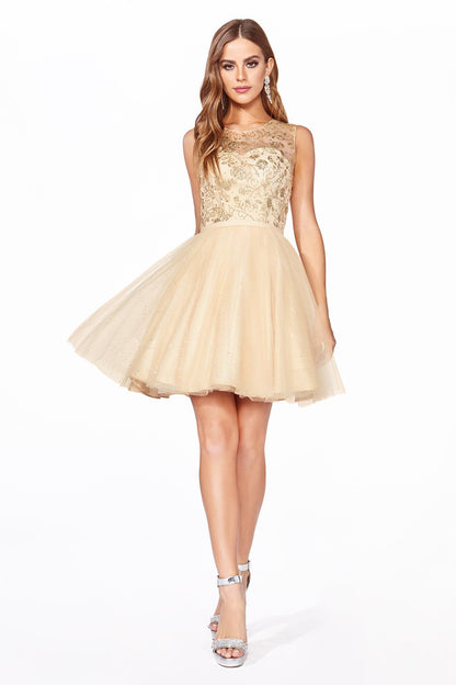 Sexy Homecoming Short Dress - The Dress Outlet
