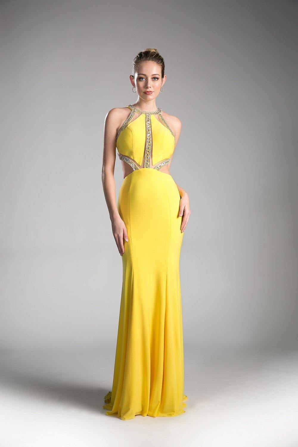 Open Back Prom Long Fitted Dress - The Dress Outlet