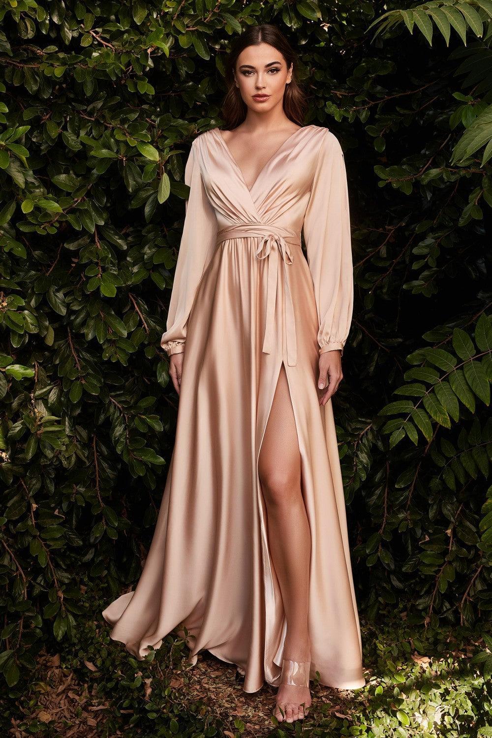Formal Long Sleeve Dress Evening Gown Nude