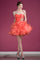 Short Strapless Homecoming Dress - The Dress Outlet Cinderella Divine