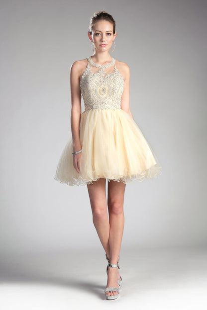 Short Prom Halter Lace Bodice Homecoming Dress - The Dress Outlet Cinderella Divine