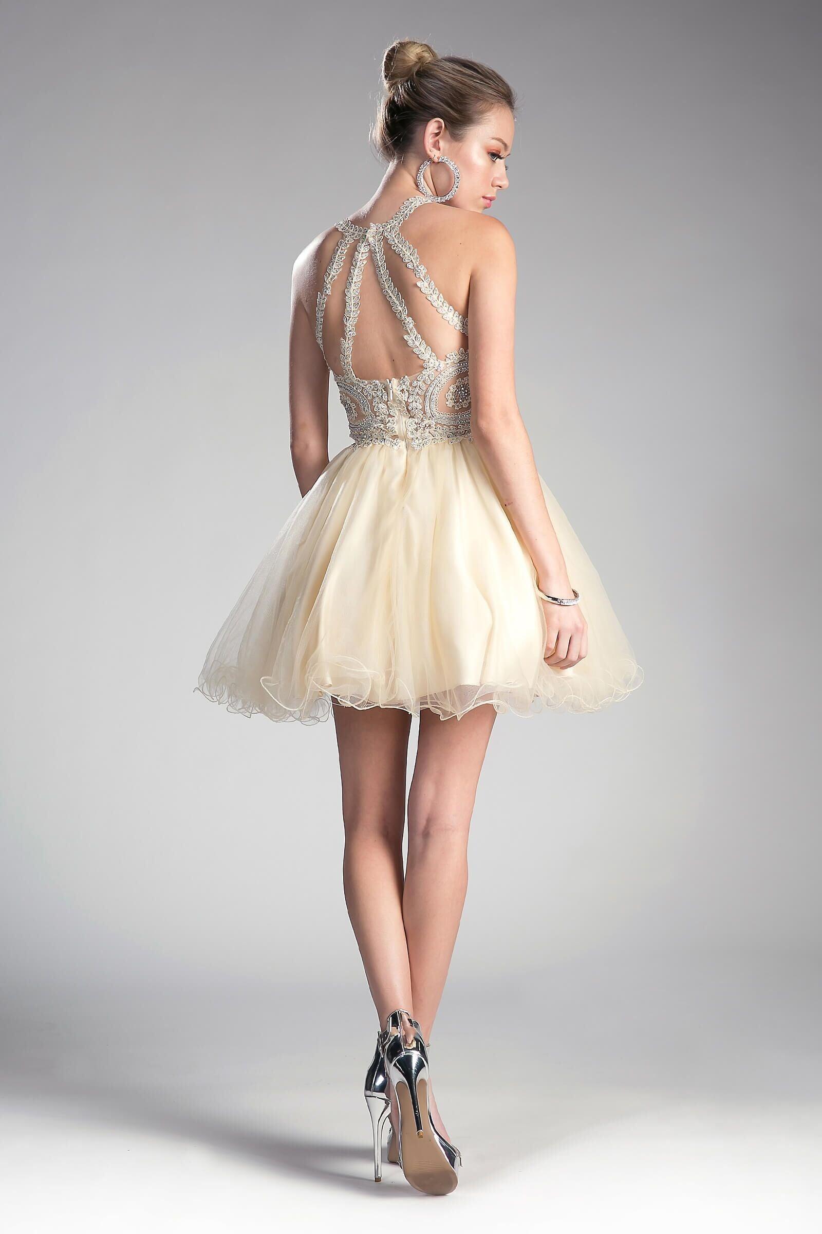 Short Prom Halter Lace Bodice Homecoming Dress - The Dress Outlet Cinderella Divine