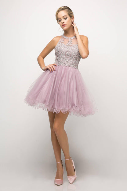 Short Prom Halter Lace Bodice Homecoming Dress - The Dress Outlet Cinderella Divine
