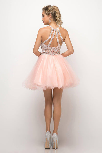 Short Prom Halter Lace Bodice Homecoming Dress - The Dress Outlet Cinderella Divine