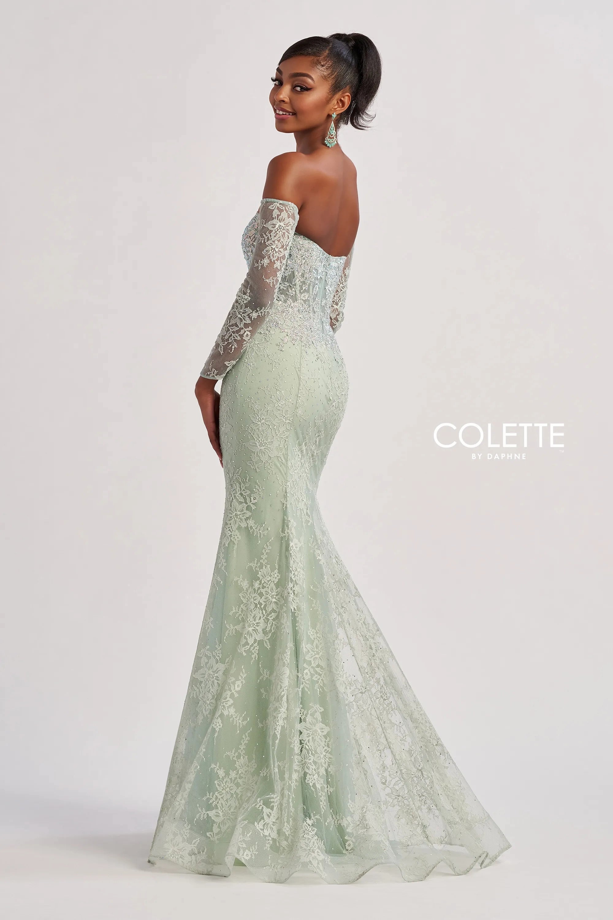 Prom Dresses Long Fit Lace Formal Evening Prom Dress Light Sage