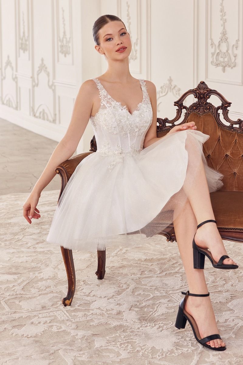 Ladivine CY019 - Applique Corset Cocktail Dress M / Champagne - Shop Ladivine Dresses On Couture Candy at CoutureCandy.com