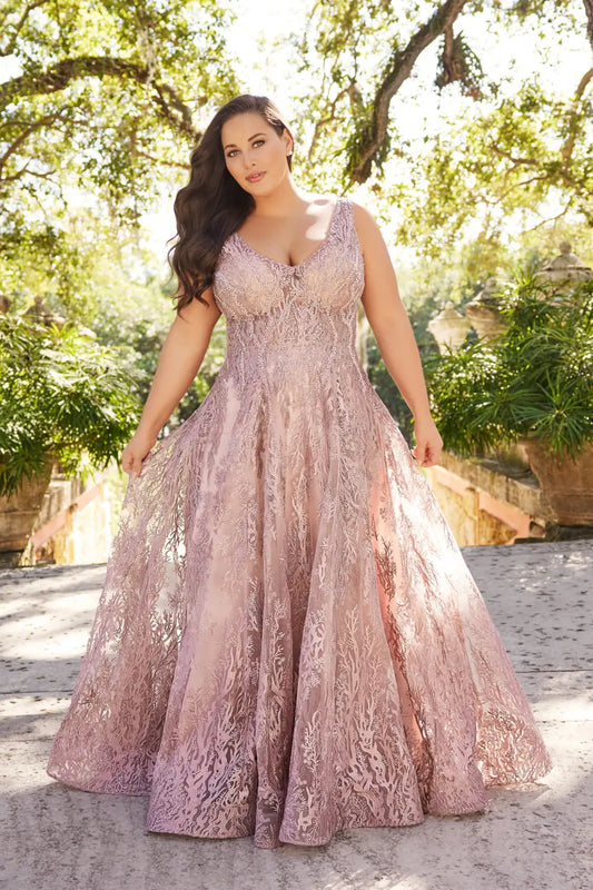 Plus Size Dresses Long Plus Size Formal A Line Evening Dress Dusty Rose