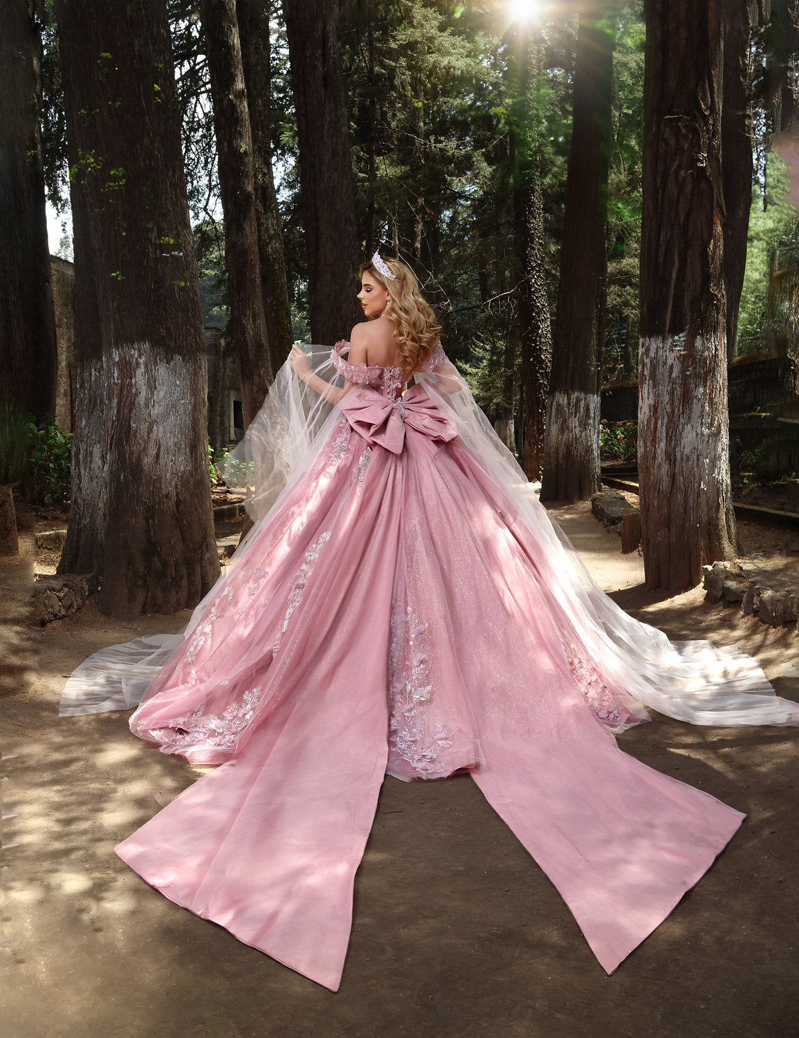 Nina Canacci Q117 Sweet 16 Long 3D Glitter Quinceanera Dress