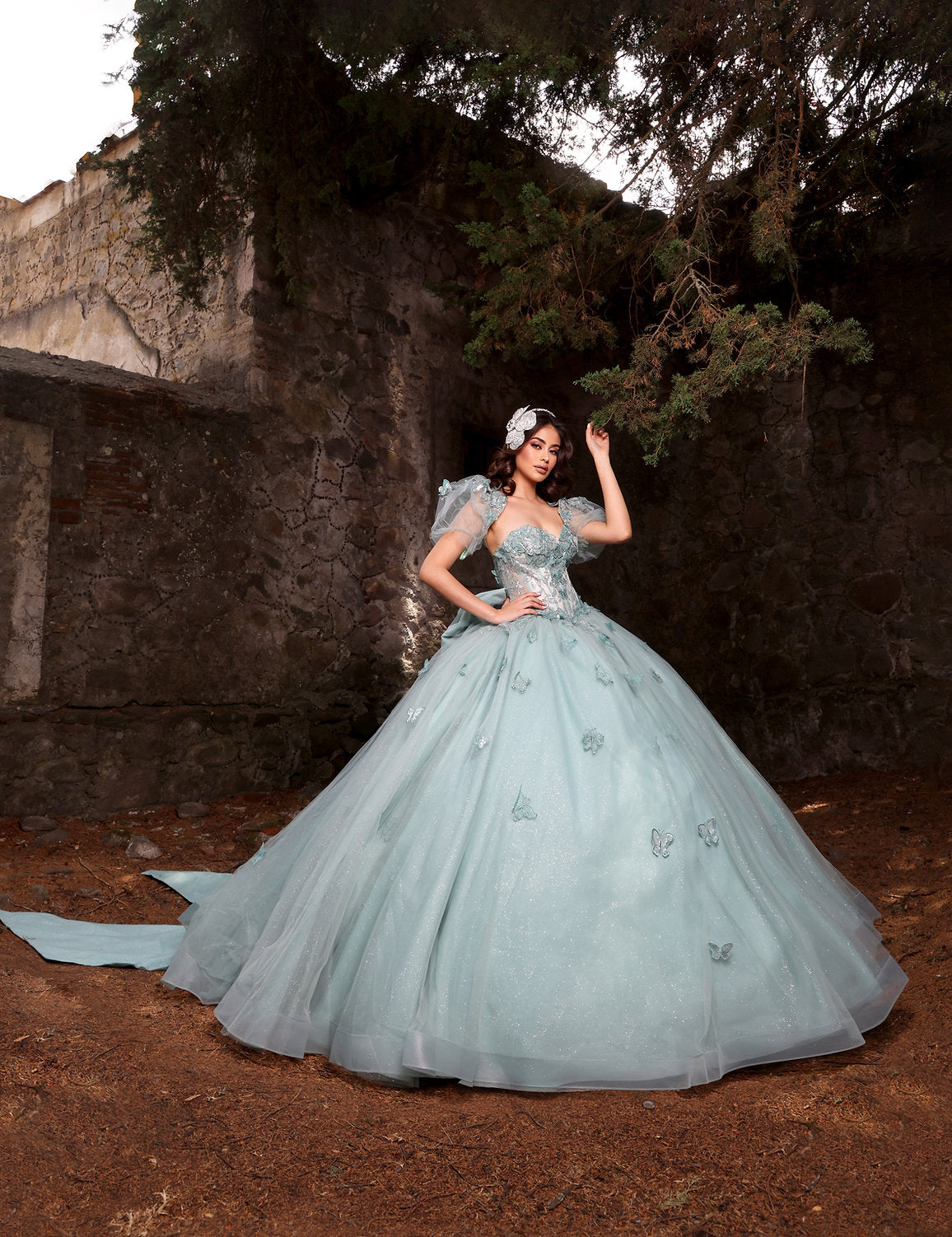 Nina Canacci Q119 Long Ball Gown Glitter Lace Quinceanera Dress