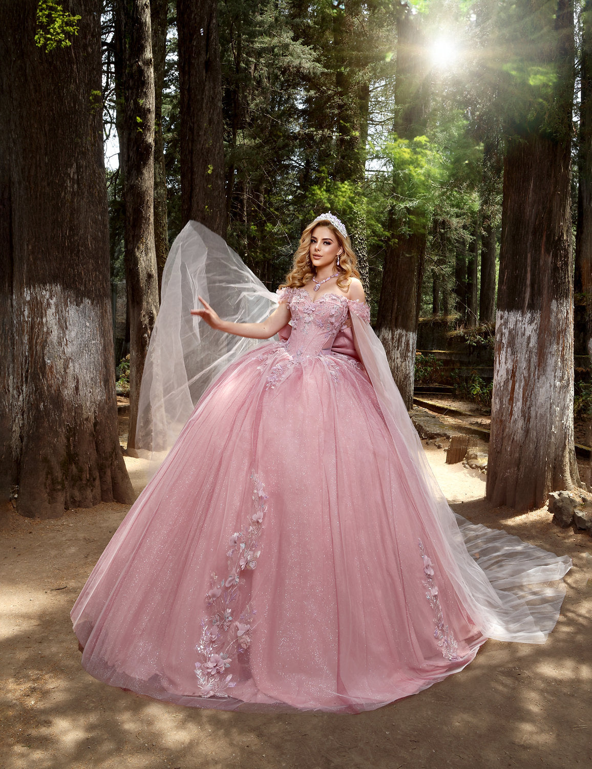 Nina Canacci Q117 Sweet 16 Long 3D Glitter Quinceanera Dress