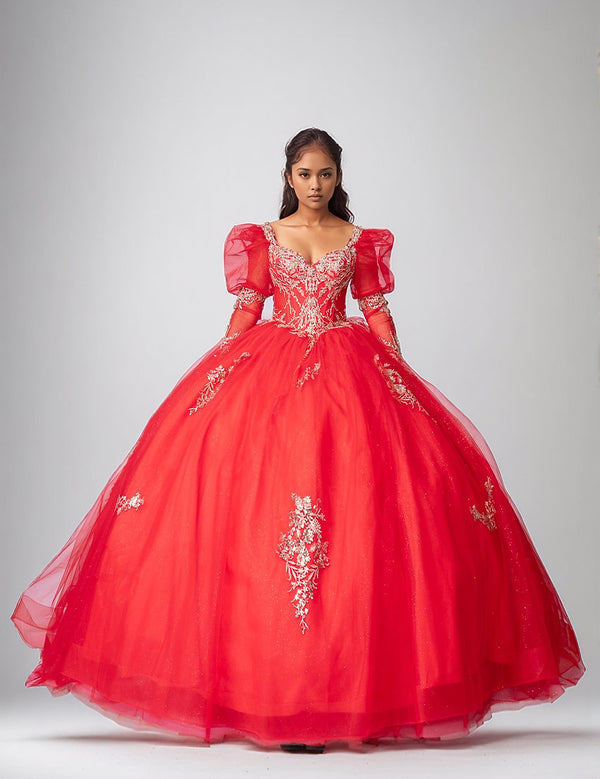 Long Sleeve Ball Gown Corset Quinceniera Dress Nina Canacci Q133