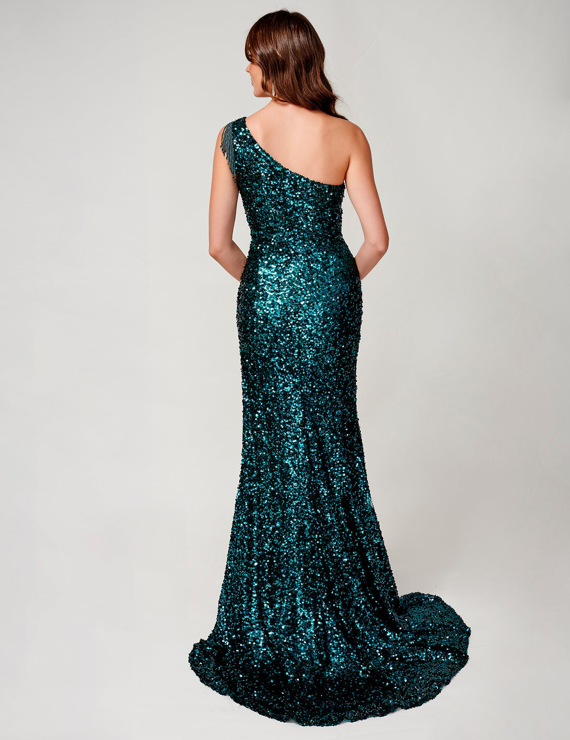 Nina Canacci 4405 Fitted Formal Prom Long Sequin Dress