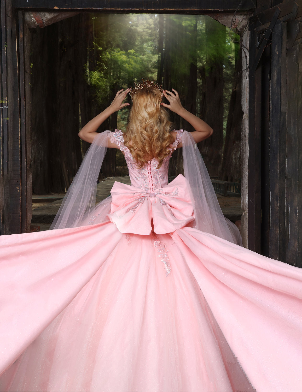 Nina Canacci Q122 Long Lace Sweet 16 Quinceanera Dress