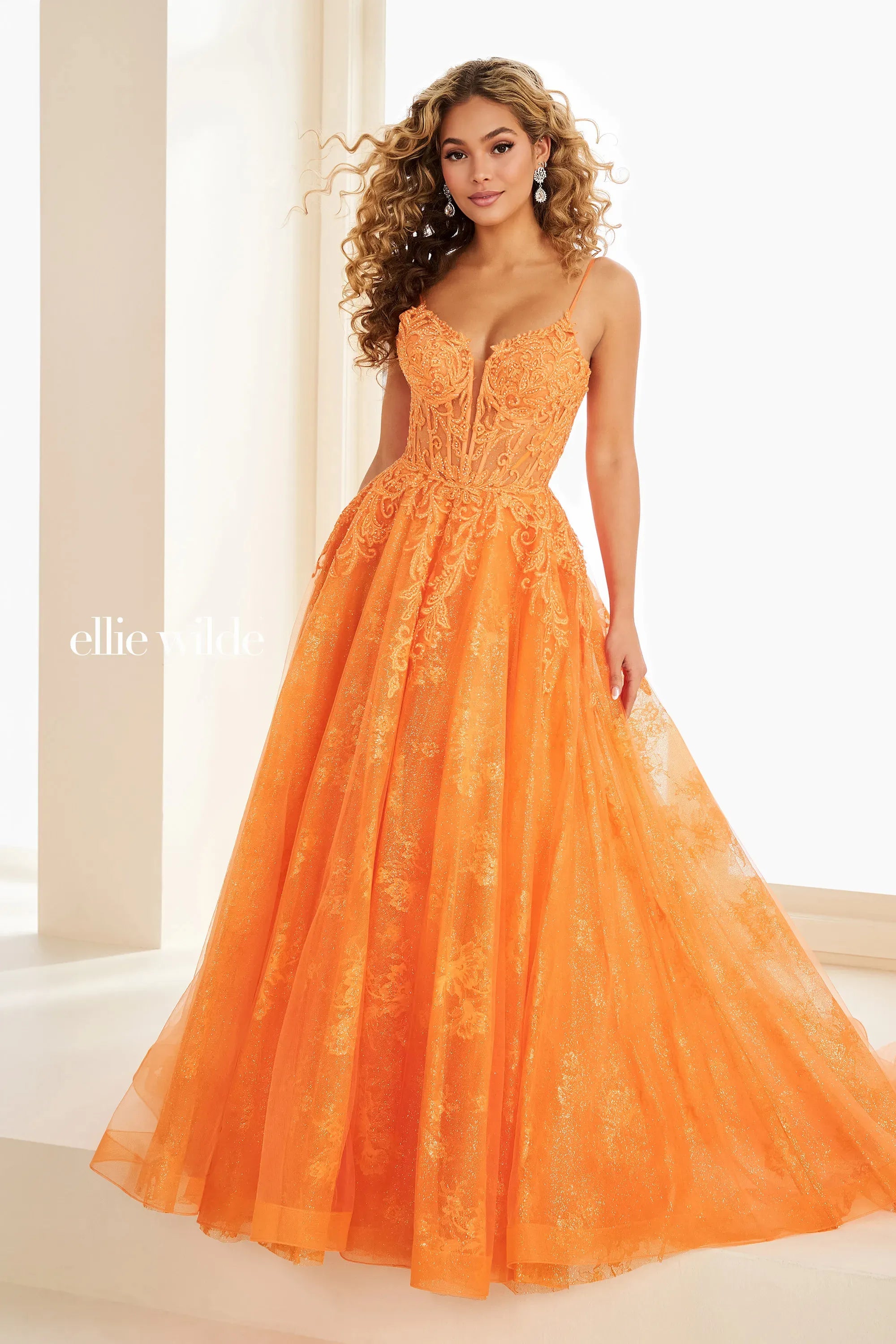 Prom Dresses Glitter Fitted Lace Applique Long Formal A Line Prom Dress Orange