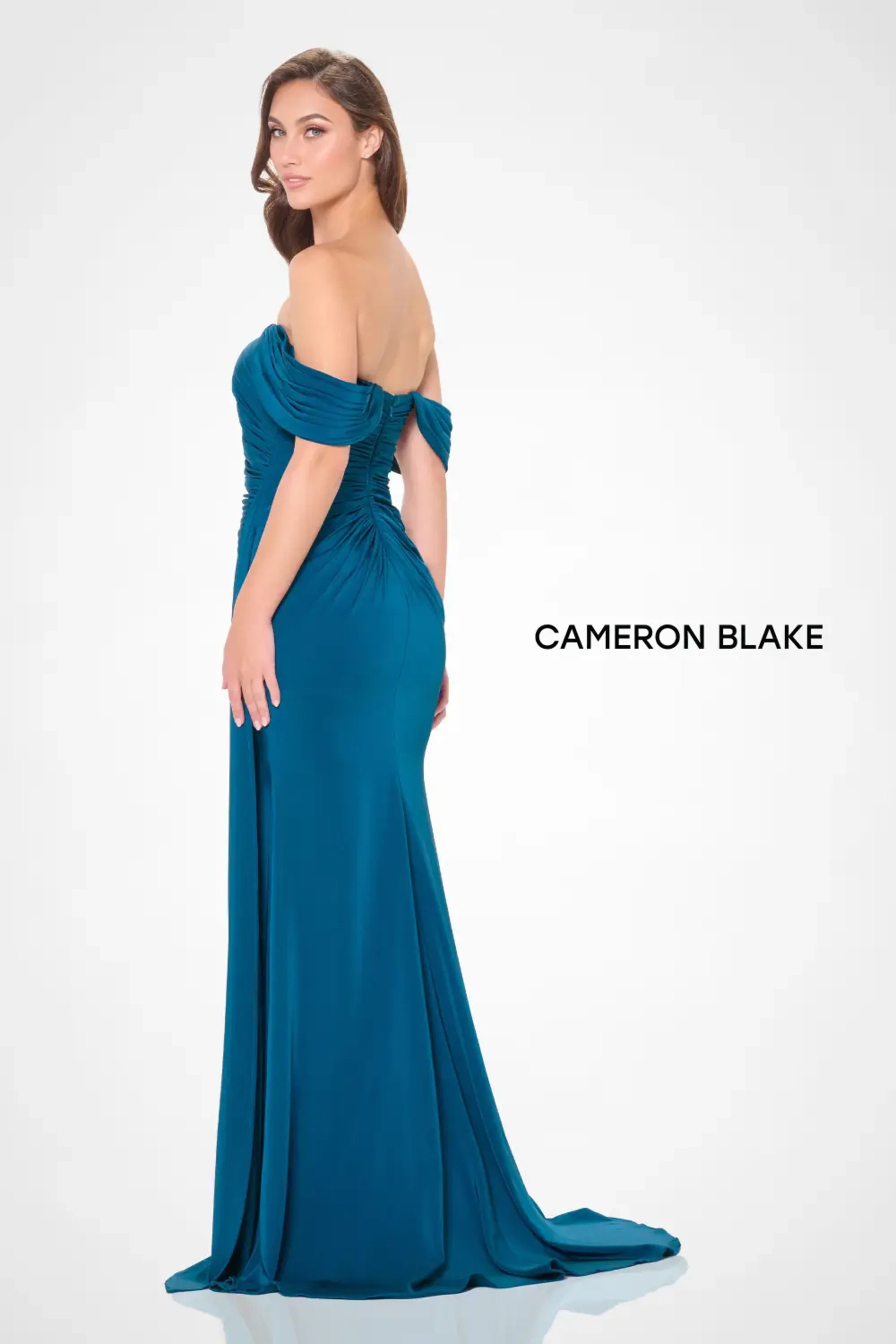 Formal Dresses Long Formal Mermaid Evening Dress Peacock