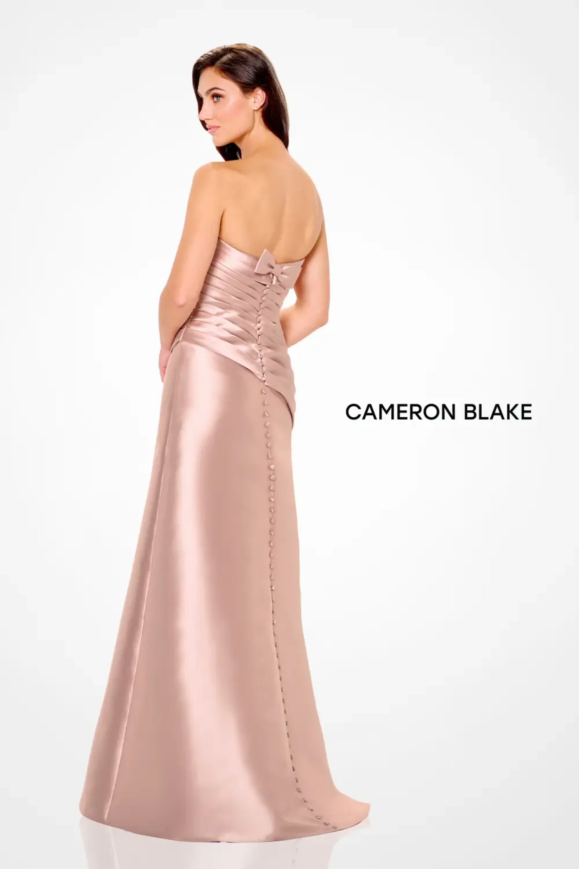 Cameron Blake CB3248 Long Pleated Formal Evening A Line Dress