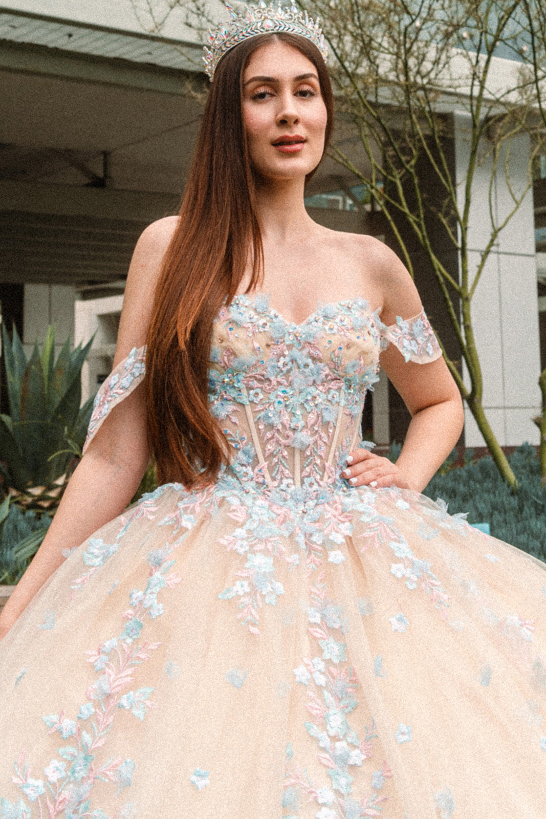 Long Quinceanera Dress 3D Floral Applique Ball Gown - Champagne / XS Long Quinceanera Dress 3D Floral Applique Ball Gown - Champagne / XS
