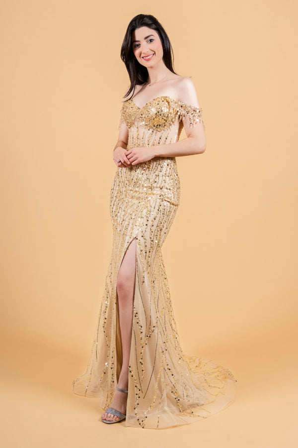 Long Formal Sequin Fringe Fitted Prom Dress
