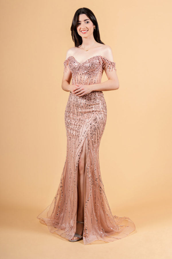 Long Formal Sequin Fringe Fitted Prom Dress