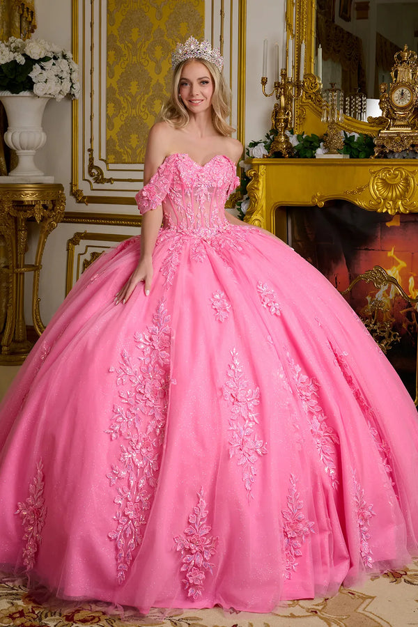 Long Ball Gown 3D Floral Sequin Quinceanera Dress