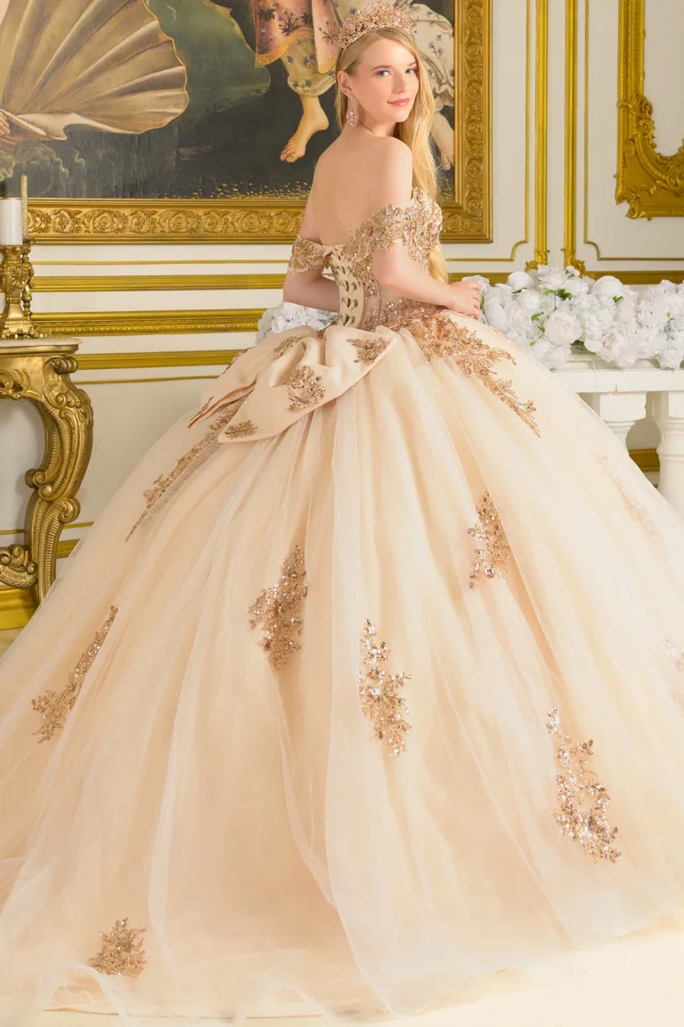 Quinceniera Dresses Beaded Sequin Long Glitter Ball Gown Quinceanera Dress Champagne