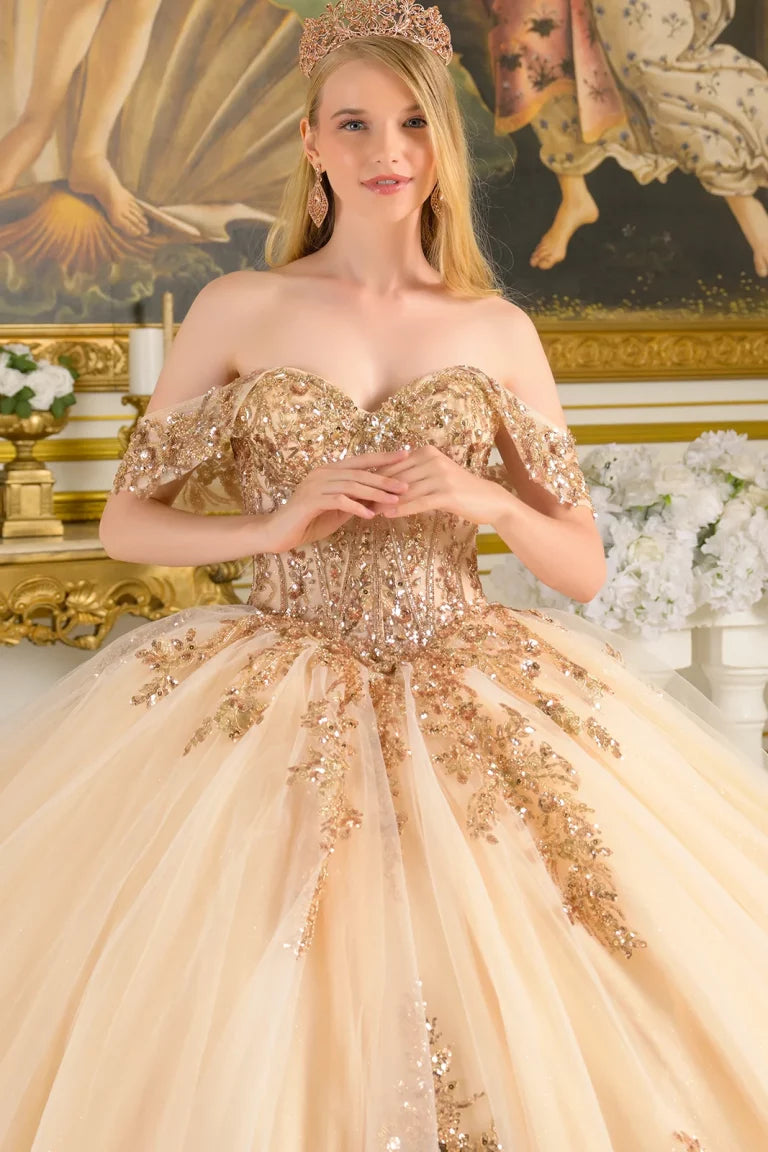 Quinceniera Dresses Beaded Sequin Long Glitter Ball Gown Quinceanera Dress Champagne