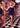 Cocktail Dresses Beaded Short Mini Fringe Cocktail Dress Navy Royal