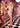 Cocktail Dresses Short Homecoming Beaded Fitted Cocktail Dress Champagne