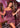 Cocktail Dresses Beaded Short Mini Fringe Cocktail Dress Black Fuchsia
