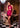 Cocktail Dresses Homecoming Short Cocktail Beaded Dress Fuchsia