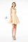 Illusion Deep V-Neck Glitter Mesh Short Dress w/ U-Back - The Dress Outlet Elizabeth K