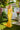 Prom Dresses Prom Fitted Long Formal Evening Dress Yellow