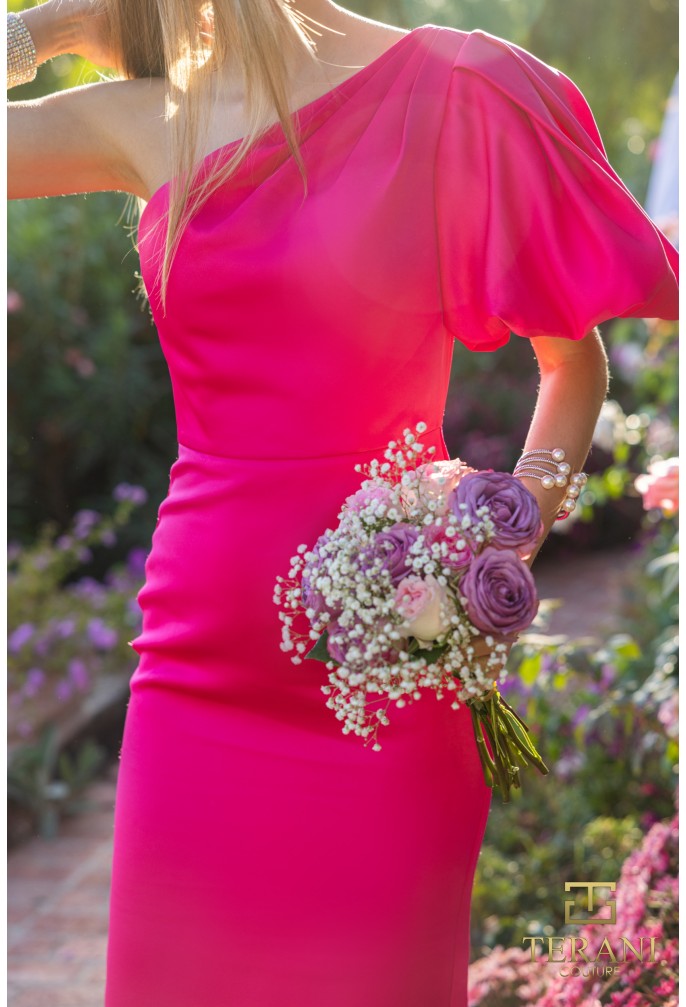 Terani Couture J2511 Fitted Long Formal Evening Dress