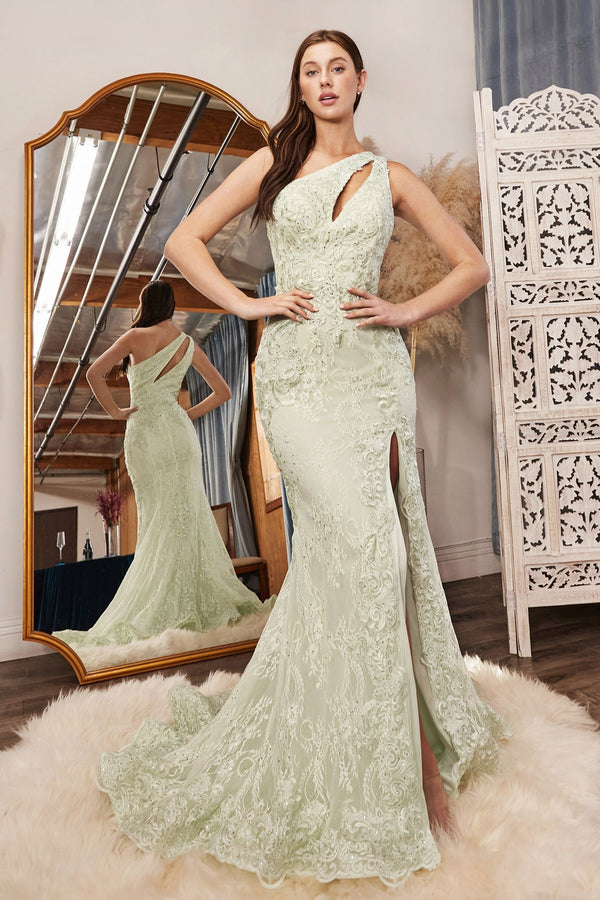 LaDivine CD973 Fitted Formal Long Floral Lace Prom Dress