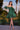 LaDivine KV1089 Short Homecoming Dress