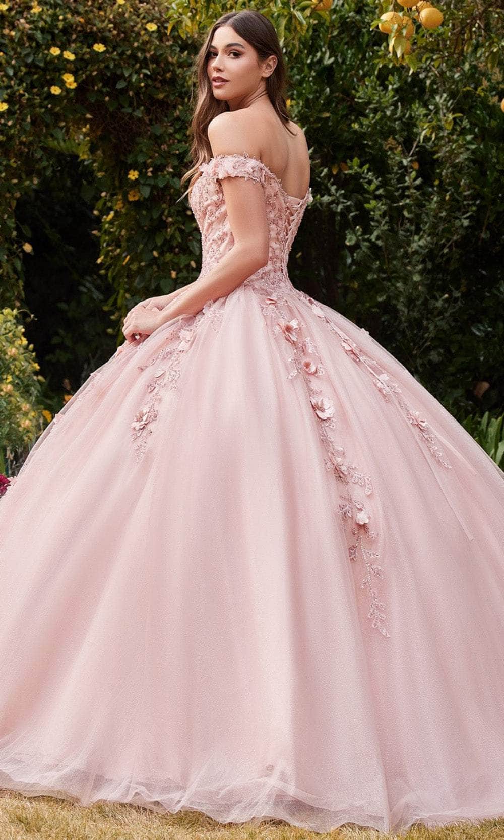 3D Floral Sequin Long Ball Gown Quinceañera Dress by LaDivine