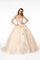 Long Glitter Mesh Quinceanera Dress - The Dress Outlet Elizabeth K