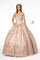 Long Glitter Mesh Quinceanera Dress - The Dress Outlet Elizabeth K