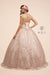 Long Prom Dress Glitter Mesh Ball Gown - The Dress Outlet Nox Anabel