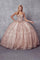 Long Quinceanera Glitter Mesh Ball Gown - The Dress Outlet