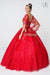 Long Quinceanera Glitter Mesh Ball Gown Cape Sleeve - The Dress Outlet Elizabeth K