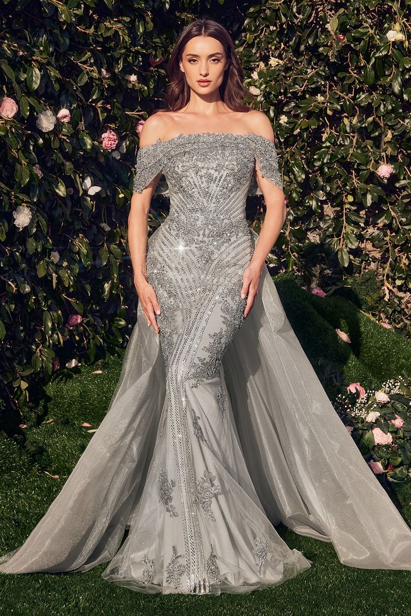 Prom Dresses Beaded Applique Long Formal Evening Dress Silver