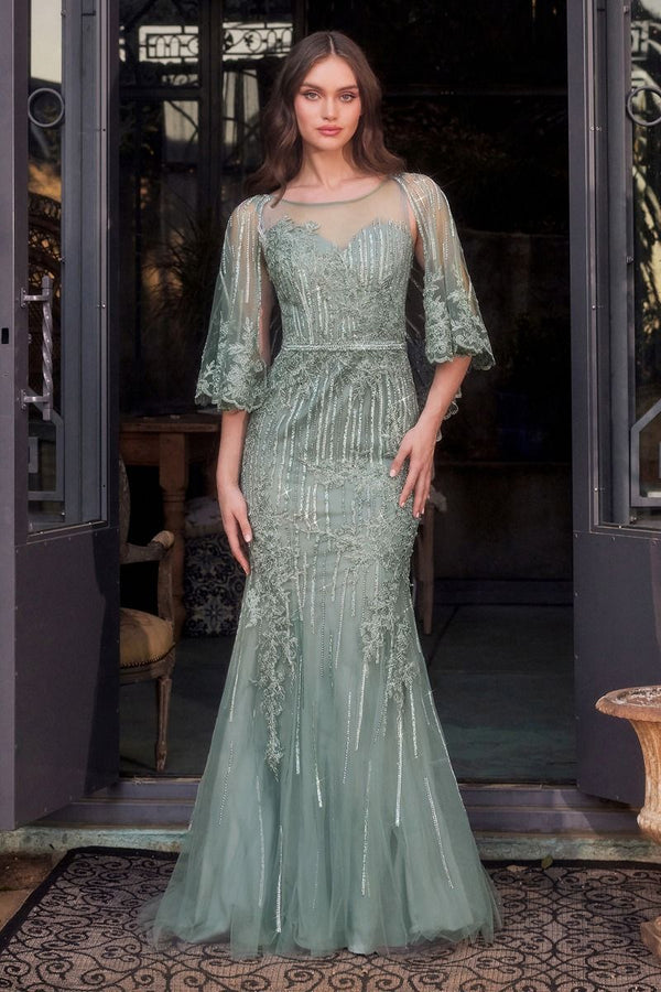 Long Formal Fitted Lace Capelet Evening Dress by Andrea & Leo MA105