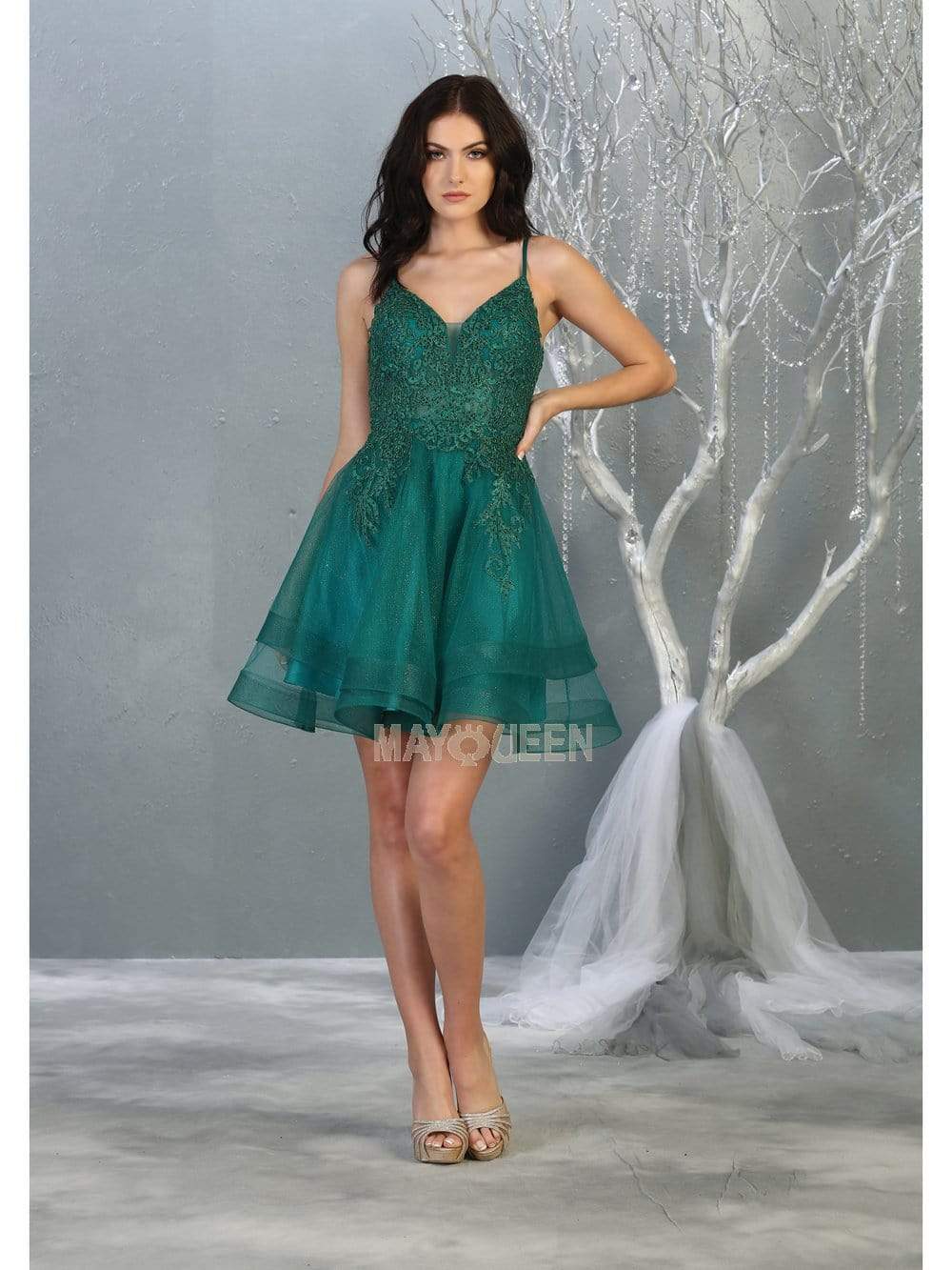 V-Neck Mini/Short Tulle Occasion A-Line May Queen 1816